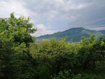 Фото номера Одноместный номер с видом на сад Гостевой дом YERITSUK г. Алаверди 9