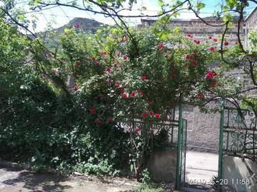 Фото номера Семейный люкс с балконом Гостевой дом Family Guest House г. Алаверди 16